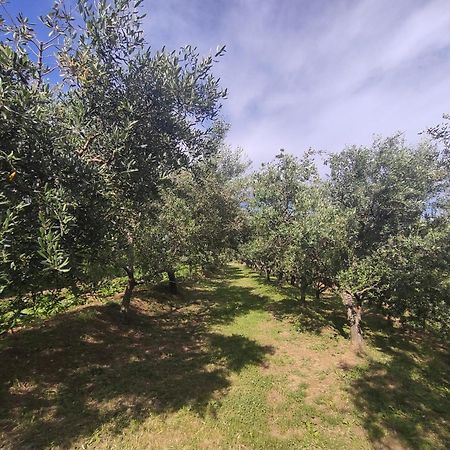 Apartman Villa Romana Grožnjan المظهر الخارجي الصورة
