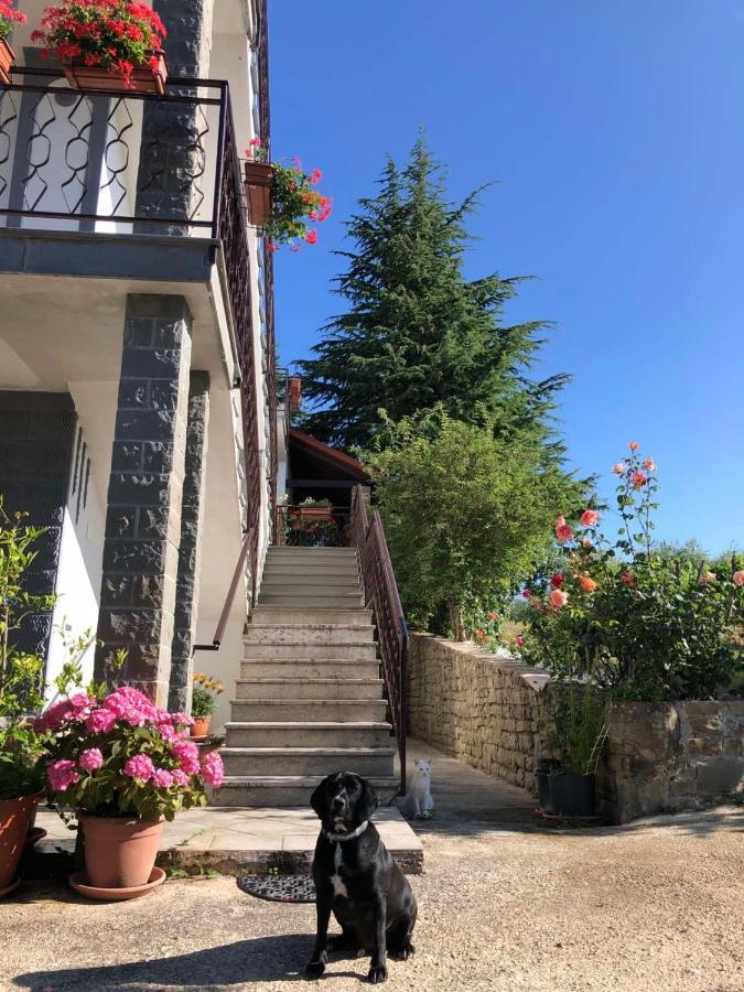 Apartman Villa Romana Grožnjan المظهر الخارجي الصورة